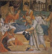 LUINI, Bernardino Birth Maria oil on canvas